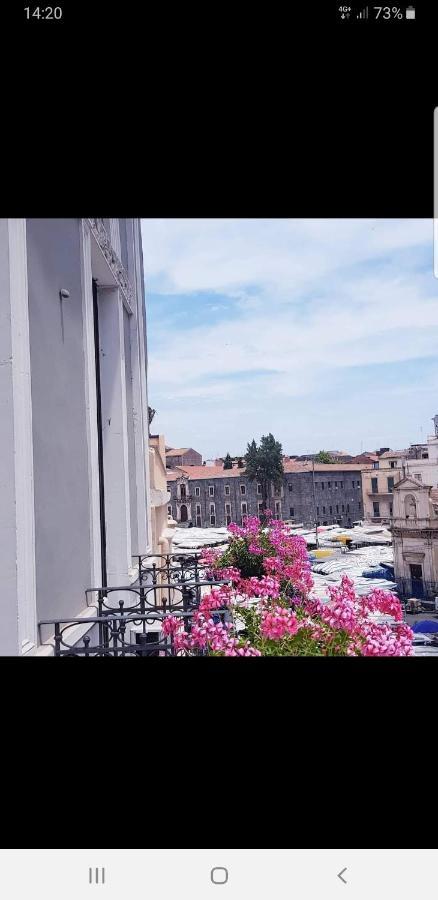 Standard Single Room,1202804770:JPEG